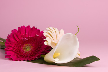 Similar image 2165658