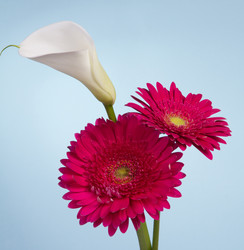 Similar image 2165663