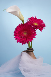 Similar image 2165665