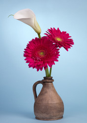 Similar image 2165666