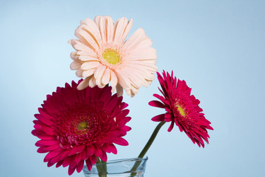 Similar image 2165667