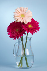 Similar image 2165668