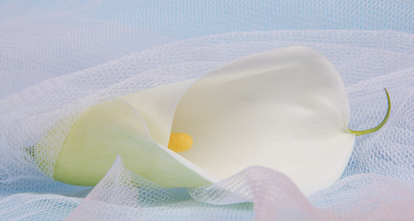 Similar image 2165669