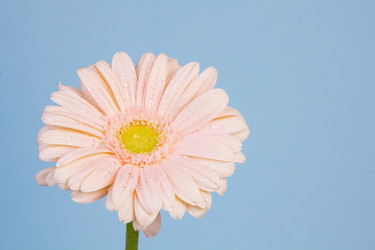 Similar image 2165670