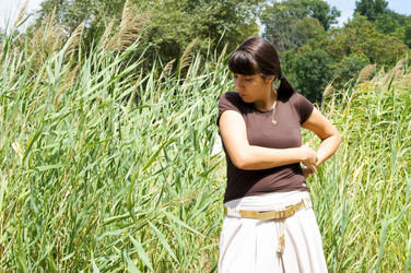 Similar image 2165887