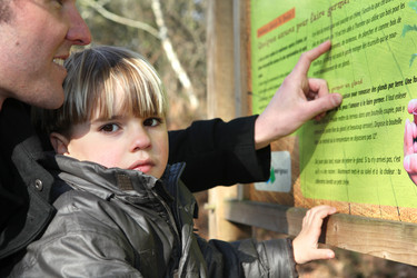 Similar image 2166120