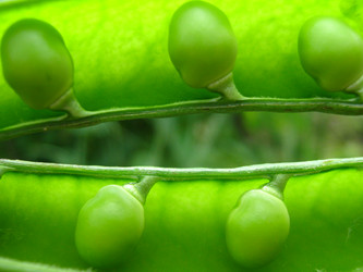 Similar image 2166688