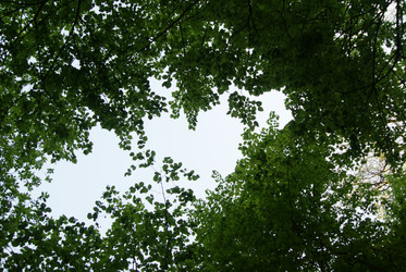 Similar image 2166689