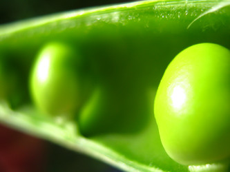 Similar image 2166690