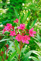 Similar image 2166734