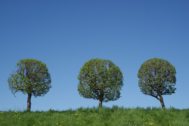 Similar image 2166771