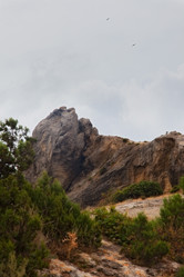 Similar image 2166881