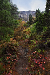 Similar image 2166933