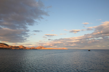 Similar image 2166934