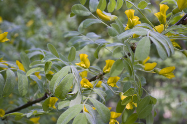 Similar image 2166949