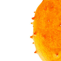 Similar image 2167009