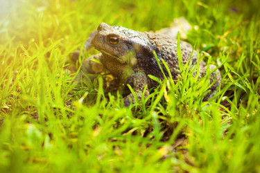 Similar image 2167026