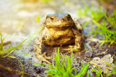 Similar image 2167027