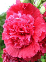 Similar image 2167045