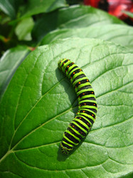 Similar image 2167096