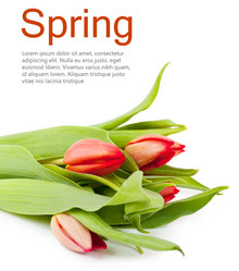 Similar image 2167156