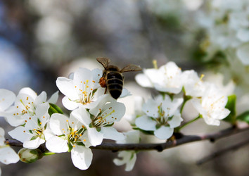 Similar image 2169245