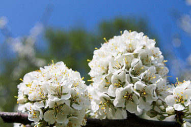 Similar image 2169246