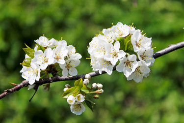 Similar image 2169248