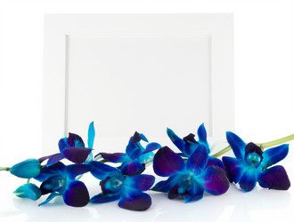 Similar image 2169357