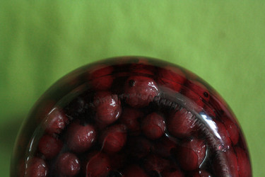 Similar image 2169372