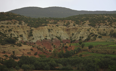 Similar image 2169480