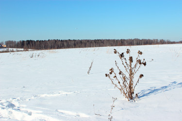 Similar image 2169493