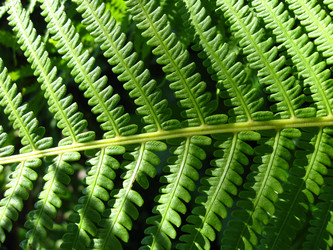 Similar image 2169765