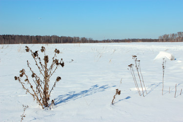 Similar image 2169769