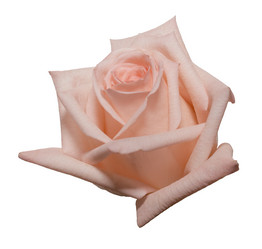 Similar image 2170132