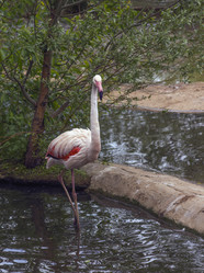 Similar image 2170144