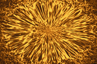 Similar image 2170146