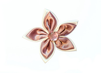 Similar image 2170221