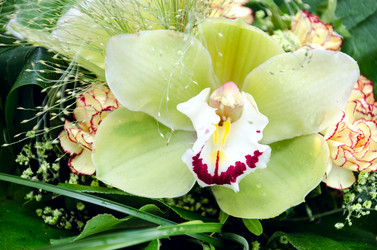 Similar image 2170223