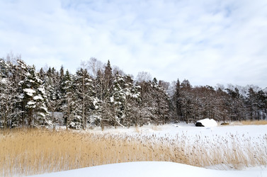 Similar image 2170286