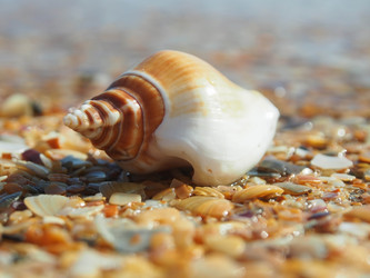 Similar image 2170850