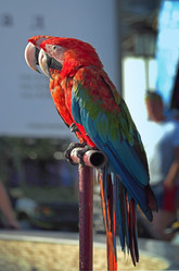 Similar image 2170855