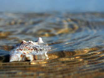 Similar image 2170905