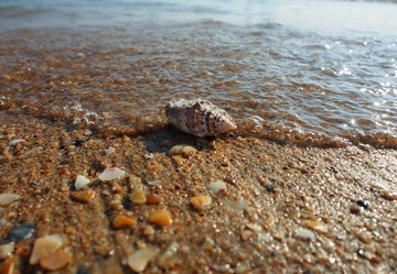 Similar image 2170915