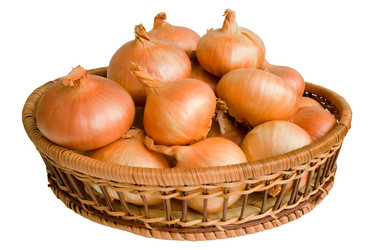 Similar image 2170985