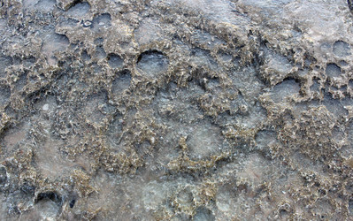 Similar image 2171189