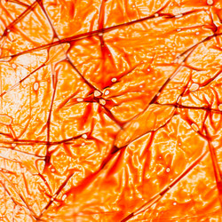 Similar image 2171201