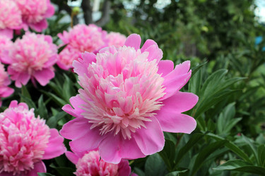 Similar image 2171814