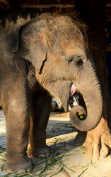 Similar image 2172347