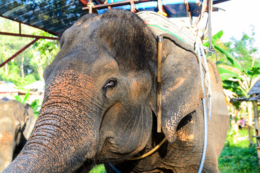 Similar image 2172348